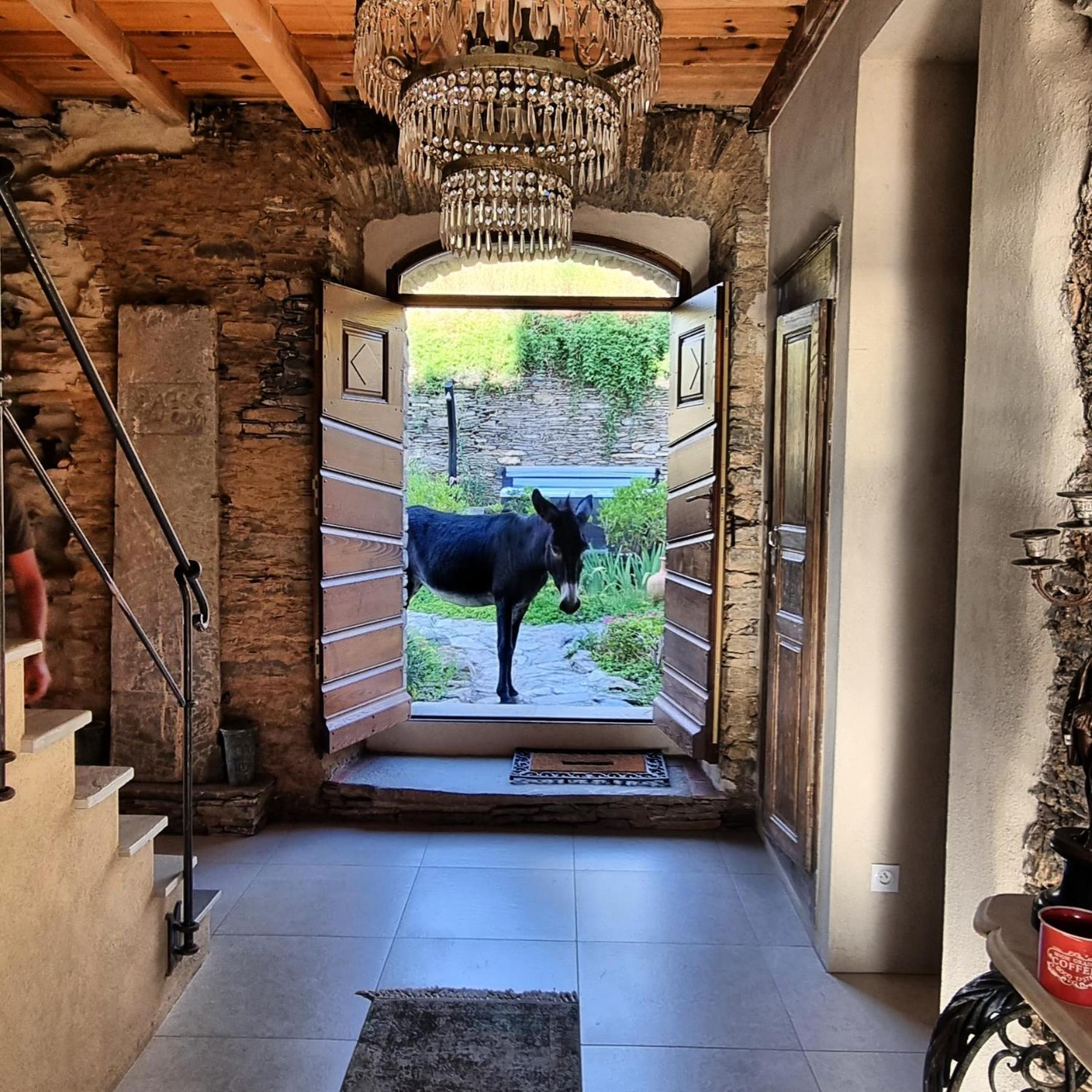 Domaine Colonna Santini ,Chambre D Hotes Piscine, Sauna, Spa Porri Luaran gambar